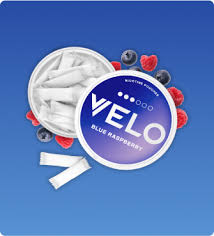 vitt snus- testprodukt